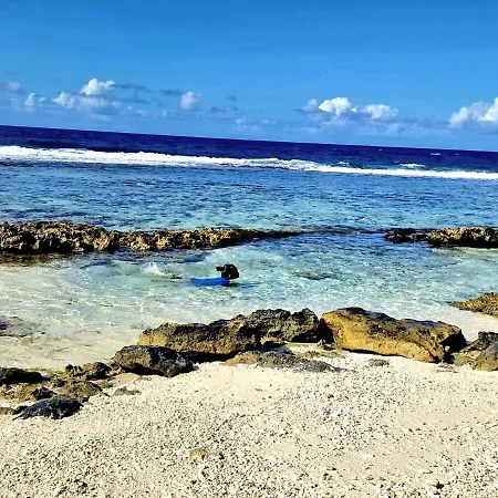 Un Ecrin De Paix Au Soleil Et Proche De La Mer